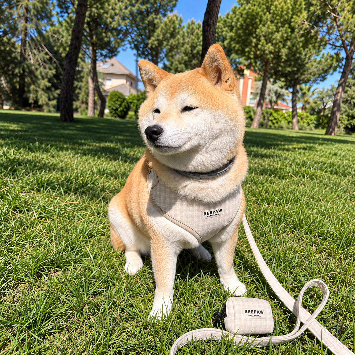 Perro con el look completo Vichy Beige a juego