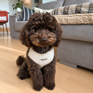 Arnés ajustable para perro Vichy Beige, vista 6 – Beepaw Barcelona