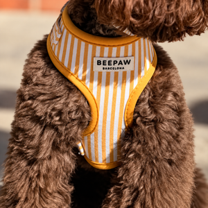 Look Honey Stripes para perro con accesorios a juego, vista 6 – Beepaw Barcelona