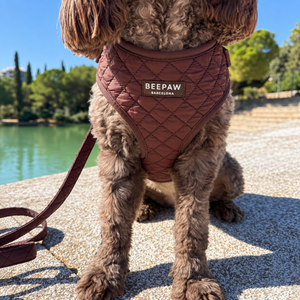 Look Quilted Moka para perro con accesorios a juego, vista 4 – Beepaw Barcelona