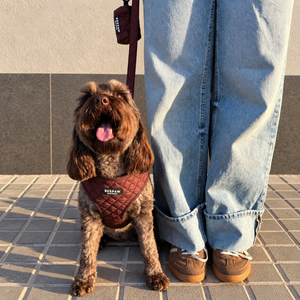Look Quilted Moka para perro con accesorios a juego, vista 5 – Beepaw Barcelona