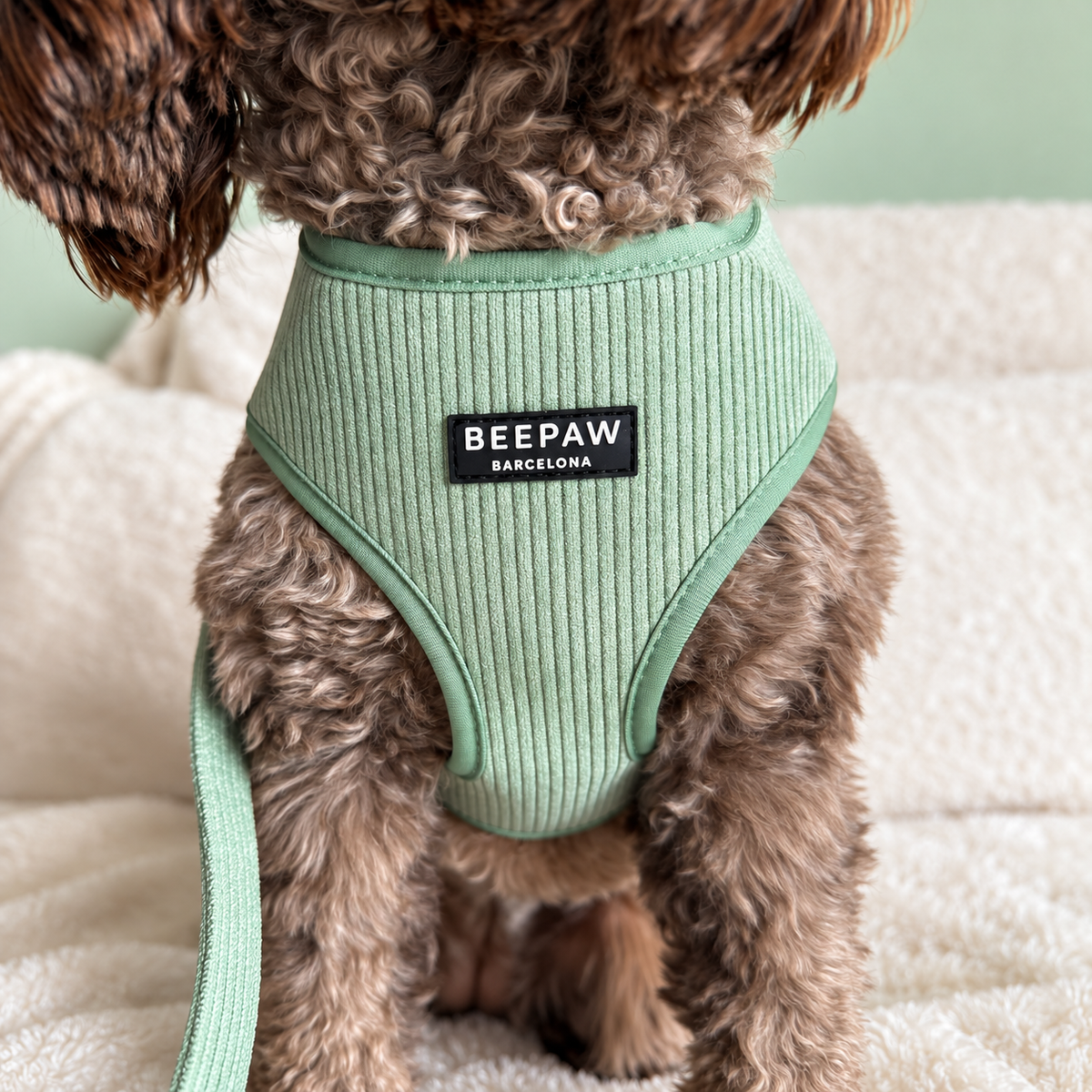 Look Pana Verde para perro con accesorios a juego – Beepaw Barcelona