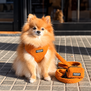 Look Teddy Brown para perro con accesorios a juego, vista 4 – Beepaw Barcelona
