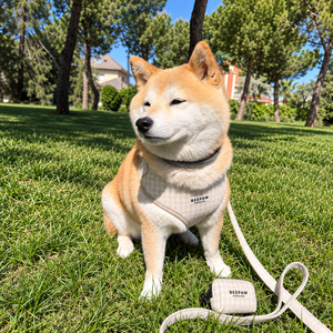 Look Vichy Beige para perro con accesorios a juego – Beepaw Barcelona