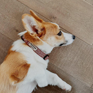 Corgi con el collar Boho Granate, de perfil – Beepaw Barcelona